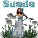 suada