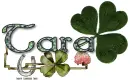 dear Irish memories Tara