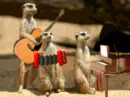 â™¥tHeâ™¥BaNdâ™¥