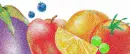áƒ¦FRuiTsáƒ¦