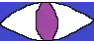 Blinking Eye