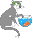 cat and fish bowl