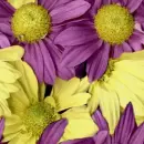 seamless glitter flowers spring background