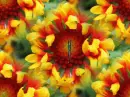 seamless butterfly flowers spring background