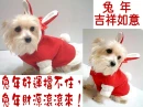 Darling pets_