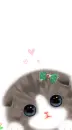 LOVELY KITTY