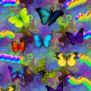 RIPPLING RAINBOW BUTTERFLIES