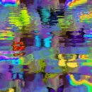 RIPPLING RAINBOW BUTTERFLIES