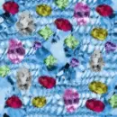 RIPPLING RAINBOW DIAMOND JEWELS