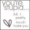 You're Stupid