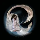 Swan wings