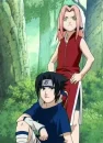 sakura & sasuke
