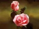 LIVE FOR YOU