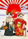 Cat Couple