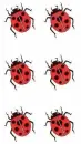 LadyBugs