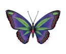 Pot Leaf Butterfly