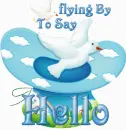 Flying by to say Hello