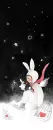 BUNNY GIRL NIGHT