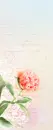 LOVELY FLOWER