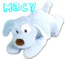 Blue Dog - Macy