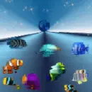 FISH IN THE HEAVENS