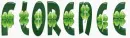Clovers With The Name Florence