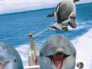 âœ¦Skiâœ¦WiLLyâœ¦
