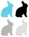 Bunnies