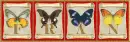 butterflies Fran