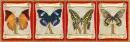 butterflies Pami