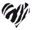 Zebra heart 2