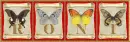 butterflies Roni