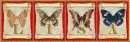 butterflies Lisa