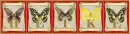 butterflies Heike