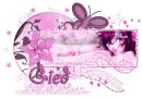Gied