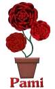Pami