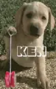 Ken