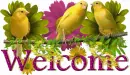 Welcome