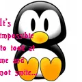 penguin