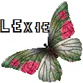 Lexie