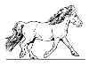 Sketch of sheltland pony