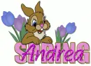Andrea