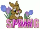 Pami