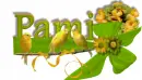 Pami