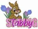 Tabby