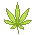 marijuana