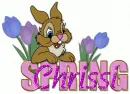 Chrissi