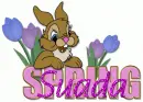 Suada