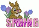 Tara