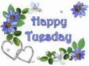 Happy Tuesday